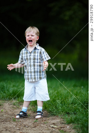 young crying boy in summer park 29918790