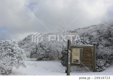 牧ノ戸峠の樹氷 牧ノ戸峠の樹氷 29919723