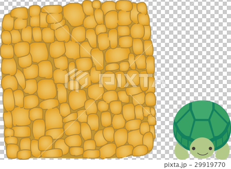 生日蛋糕和烏龜 生日蛋糕和烏龜 29919770