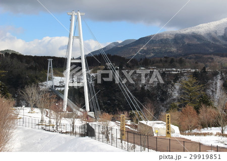 九重”夢”大吊橋の雪景色 九重”夢”大吊橋の雪景色 29919851