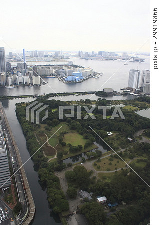 浜離宮恩賜庭園 29919866