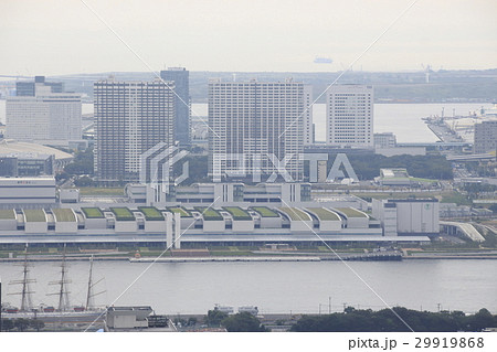 工事中の豊洲市場 工事中の豊洲市場 29919868