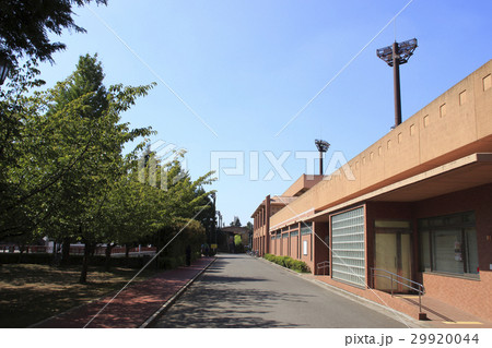 青木町公園総合運動場(プール場) 青木町公園総合運動場(プール場) 29920044