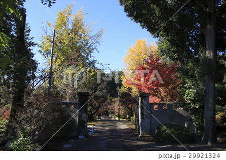 小山市 紅葉の天翁院にて 小山市 紅葉の天翁院にて 29921324