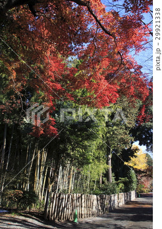 小山市 紅葉の天翁院にて 29921338