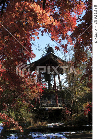 小山市 紅葉の天翁院(鐘楼) 小山市 紅葉の天翁院(鐘楼) 29921339