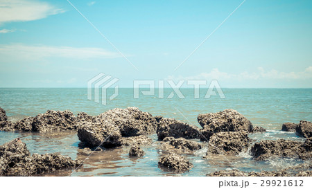 Beach and sea with blue sky and reef rock beach Beach and sea with blue sky and reef rock beach 29921612