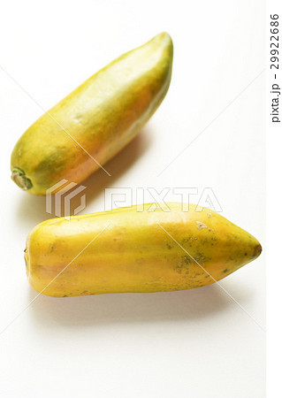 パパイア　オキナワパパイア　蕃瓜樹　Papaya　チチウリノキ　乳瓜木　モッカ　木瓜　 29922686