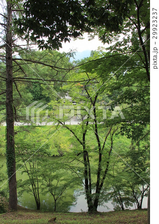緑 林 水辺 庭園 緑 林 水辺 庭園 29923237