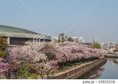 大阪の春の風景 29923256