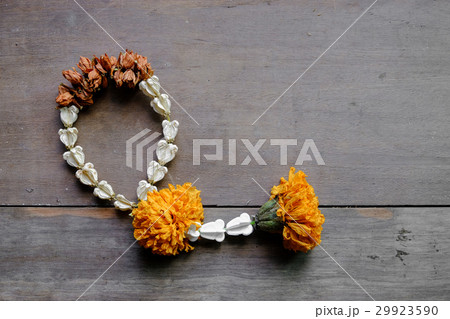 old jasmine garland old jasmine garland 29923590