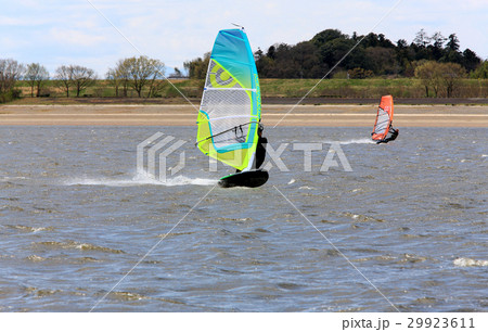 春の渡良瀬遊水地谷中湖 ボードセーリング 春の渡良瀬遊水地谷中湖 ボードセーリング 29923611