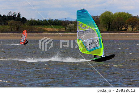 春の渡良瀬遊水地谷中湖　ボードセーリング 29923612