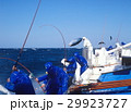 カツオ一本釣り漁　太平洋 29923727