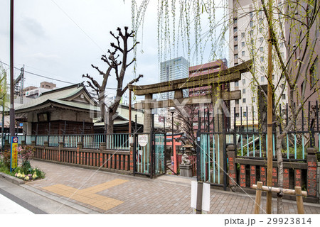 東京都千代田区の柳森神社 東京都千代田区の柳森神社 29923814