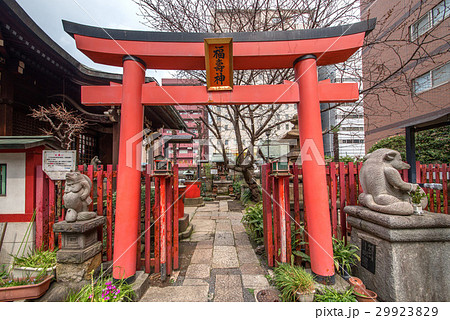 東京都千代田区の柳森神社 東京都千代田区の柳森神社 29923829
