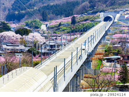 リニアの見える丘、リニア、山梨実験線、桃の花 29924114