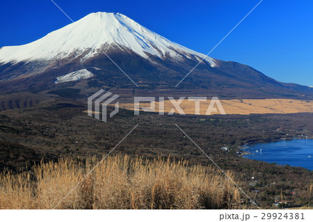山中湖・明神山から見る冬の富士山 29924381
