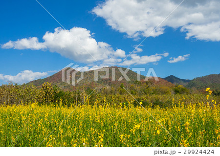 Natural view and mountain at Pai, Thailand. 29924424