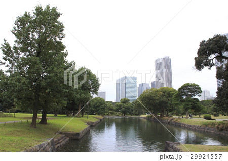 浜離宮恩賜庭園にて 29924557