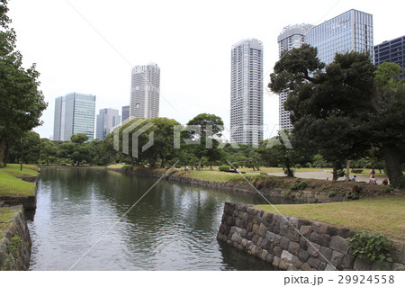 浜離宮恩賜庭園にて 29924558