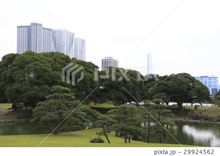 浜離宮恩賜庭園にて 29924562