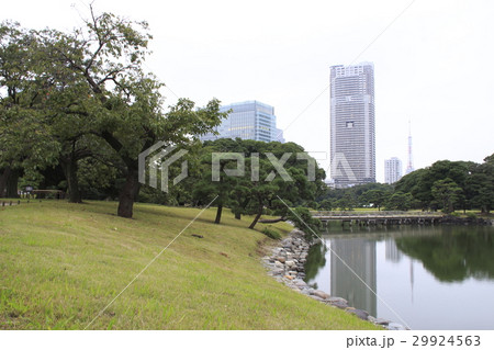 浜離宮恩賜庭園にて 29924563