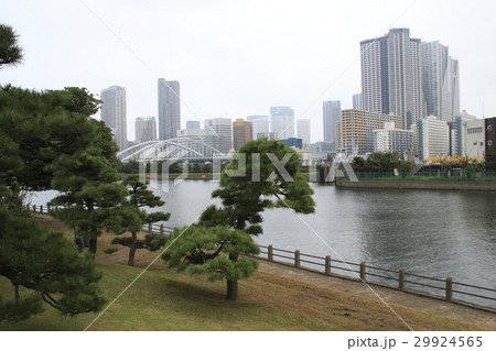 浜離宮恩賜庭園にて 29924565