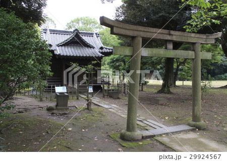 浜離宮恩賜庭園（旧稲生神社） 29924567