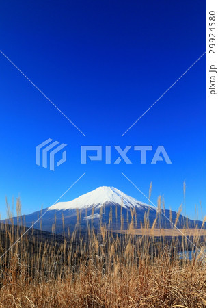 山中湖・明神山のススキと富士山 山中湖・明神山のススキと富士山 29924580