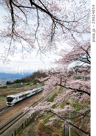 勝沼甚六桜と中央線を走るE257系特急かいじ号 29924654