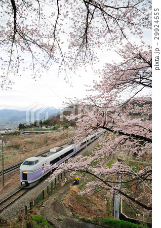 勝沼甚六桜と中央線を走るE351系特急スーパーあずさ号 29924655