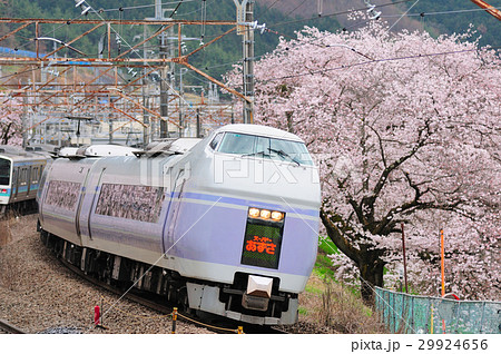 勝沼甚六桜と中央線を走るE351系特急スーパーあずさ号 勝沼甚六桜と中央線を走るE351系特急スーパーあずさ号 29924656