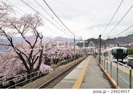 勝沼ぶどう郷駅の甚六桜とe257系特急あずさ号の写真素材