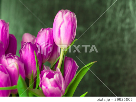 Bouquet of pink tulips close up photo. 29925005