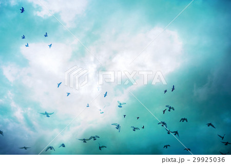 ,曇り,曇る,雲,曇 29925036