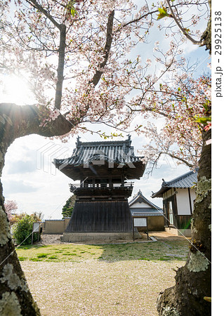 余慶寺の鐘楼堂の春の風景と太陽の輝き 余慶寺の鐘楼堂の春の風景と太陽の輝き 29925138