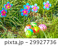 Colored Easter eggs on the grass field 29927736