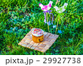 Easter cake on the grass field 29927738