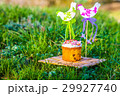 Easter cake on the grass field 29927740