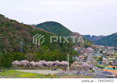 桜咲く東秩父村の春　和紙の里　d 29928935