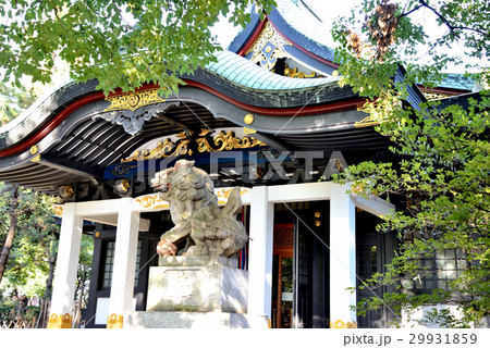 王子神社の拝殿 29931859