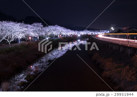 水分桜(みまくりさくら)奈良県宇陀市菟田野古市場 水分桜(みまくりさくら)奈良県宇陀市菟田野古市場 29931944