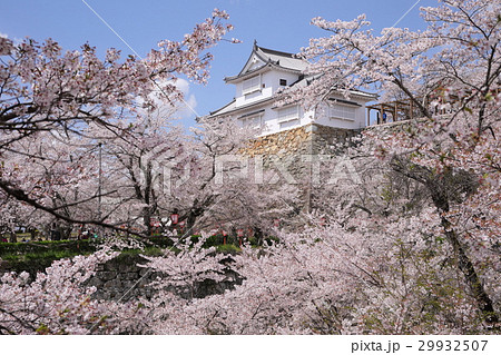桜咲く津山城（鶴山公園） 29932507