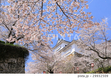 桜咲く津山城（鶴山公園） 29932509