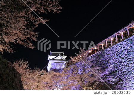 桜咲く津山城（鶴山公園） 29932539