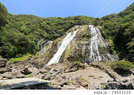 屋久島　大川の滝（おおこのたき）晴れ 29933239