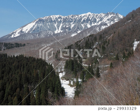 鍵掛峠から見る春の大山　大山　鍵掛峠 29933329