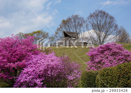 岡山県津山市にある弥生時代の遺跡:沼弥生住居址 岡山県津山市にある弥生時代の遺跡:沼弥生住居址 29933426