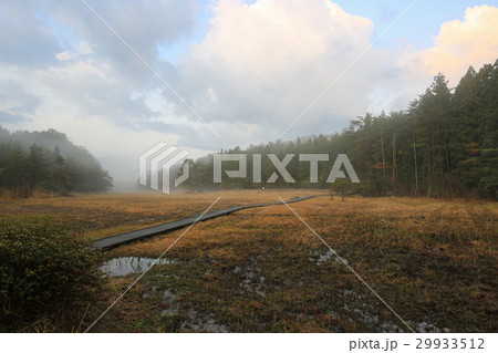徳島県三好市　黒沢湿原 29933512